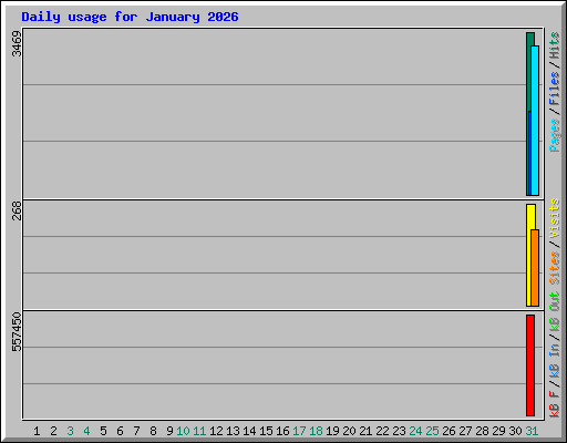 Daily usage for January 2026