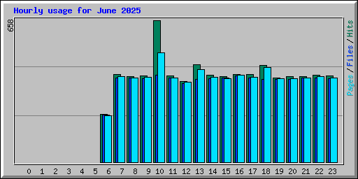 Hourly usage for June 2025