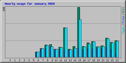 Hourly usage for January 2026